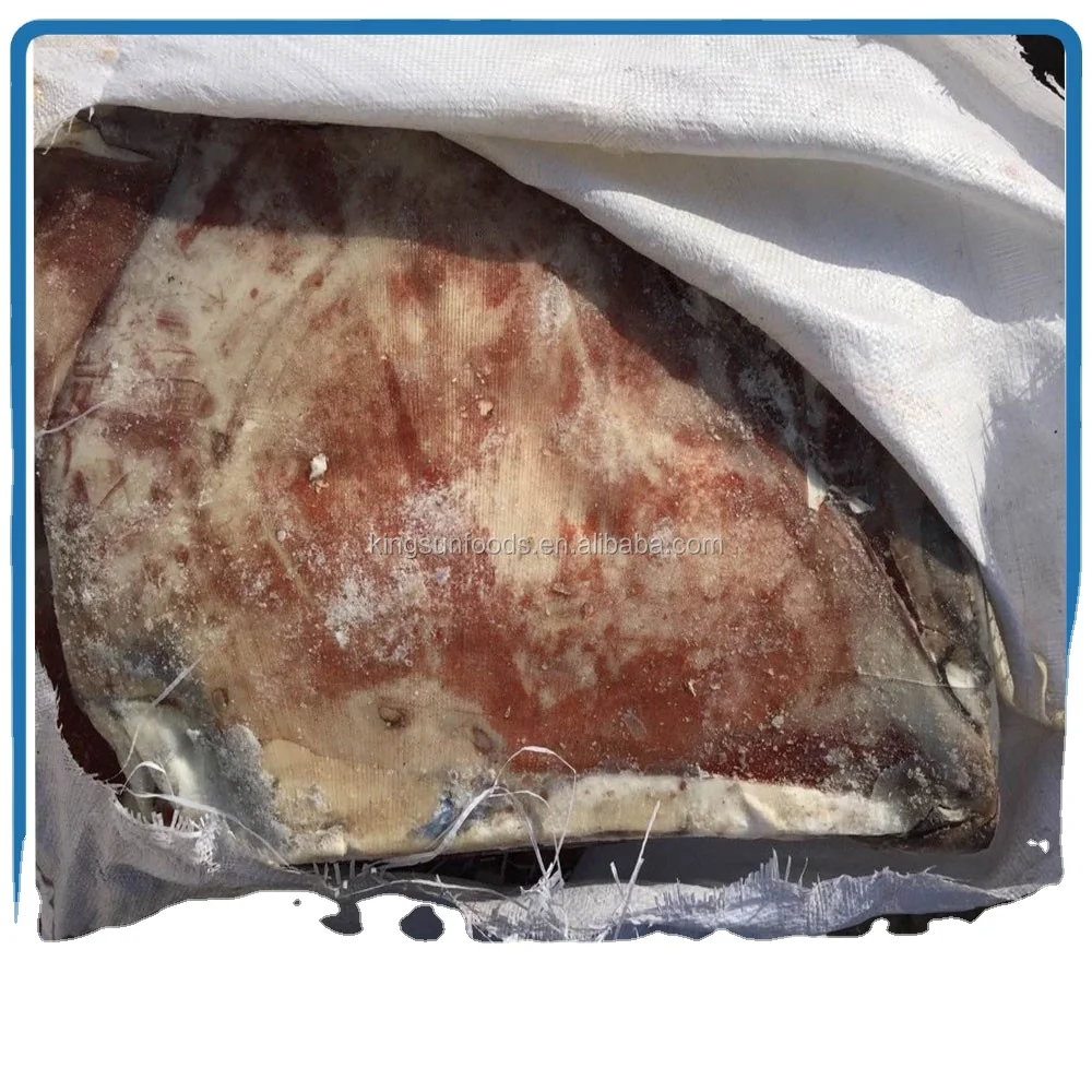 Frozen Giant Squid Fillet with Wings Premium Quality Seafood