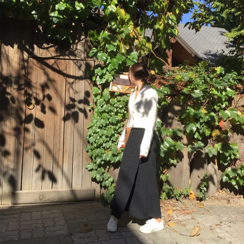 Winter Autumn Knitting Skirt High Waist Long Pencil Skirt Women Open Slit Warm Thicken Knitted Casual Vintage Maxi Skirt