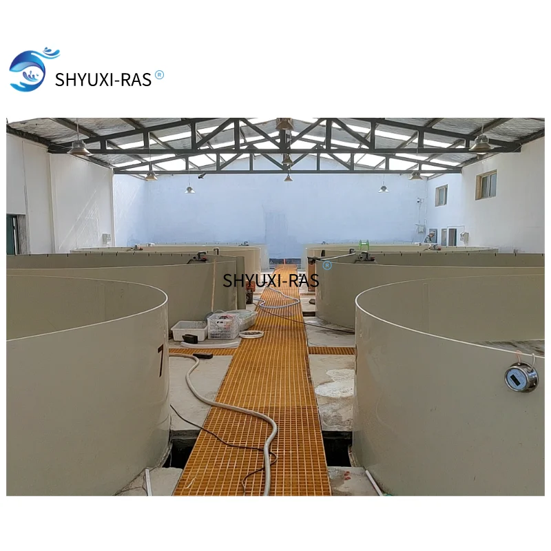 SHYUXI RAS  Circulating aquaculture equipment  for seawater portunus breeding farm