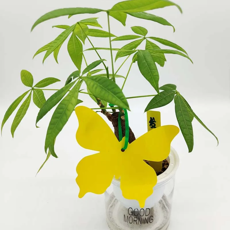 12CM  Butterfly Shape Whitefly Aphids Thrips Fungal Gnat Mosquitoes Fruit Flies Traps GN Technology