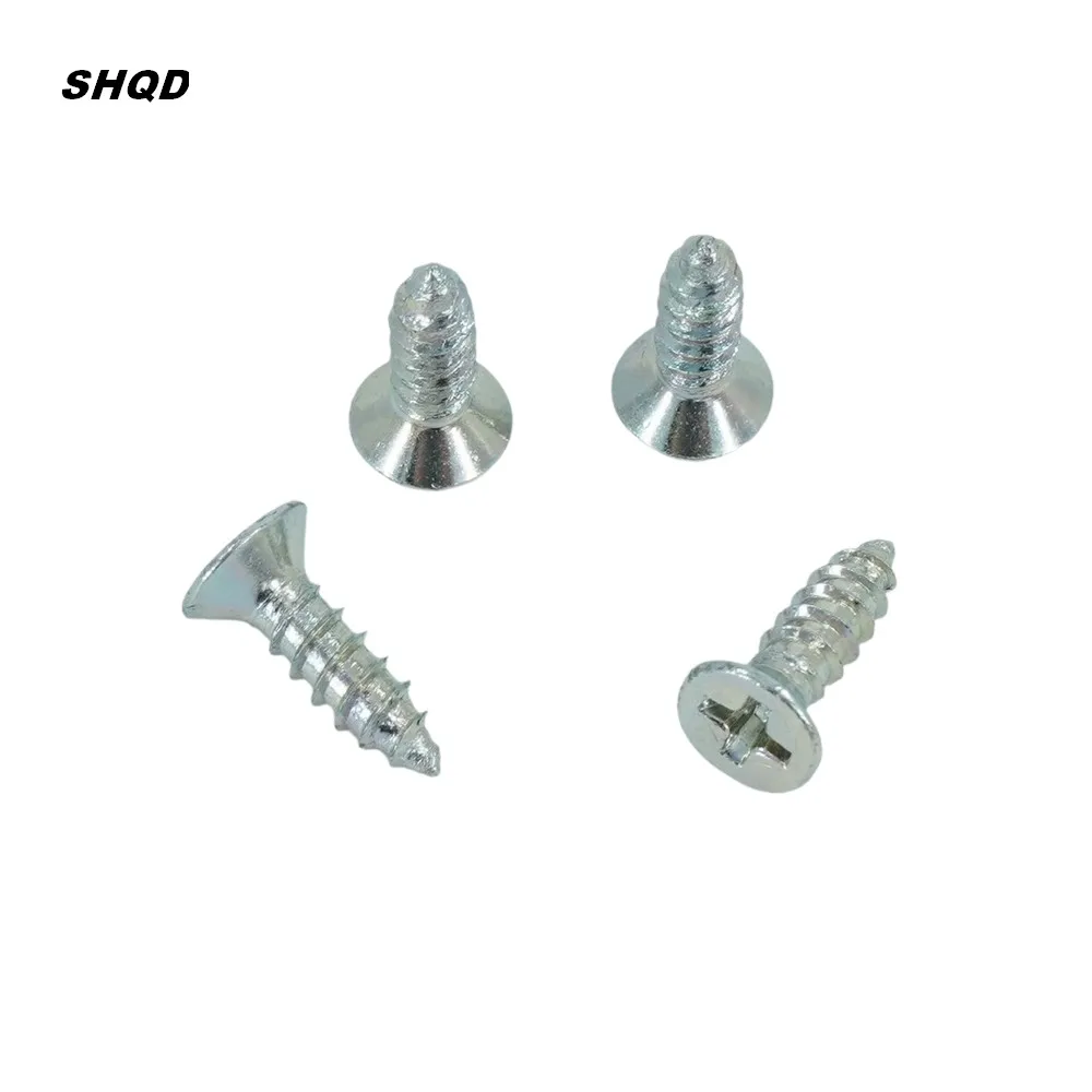 SHQD ISO 9001 Certified Manufacturing Vendor Nylon Screw Steel Screw Screws Stainless Steel