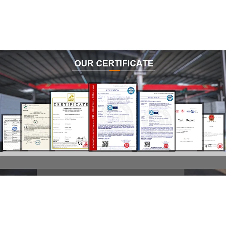 Europe 20/40FT prefabricated Waterproof insulation quick installation 2 rooms expandable modular container house with flat pack