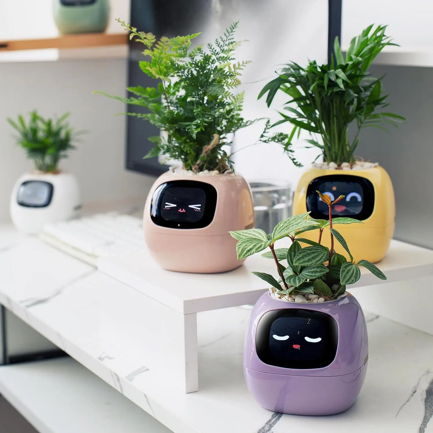 Intelligent Plants Cute Pets Robot Tables Trendy Play Black Technology Good Products, Creative Gifts, Intelligent Flower Pots