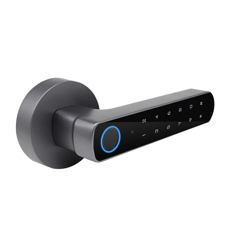 Mobile Phone Smart Bluetooth Keyless Keypad Biometric Fingerprint Door Lock