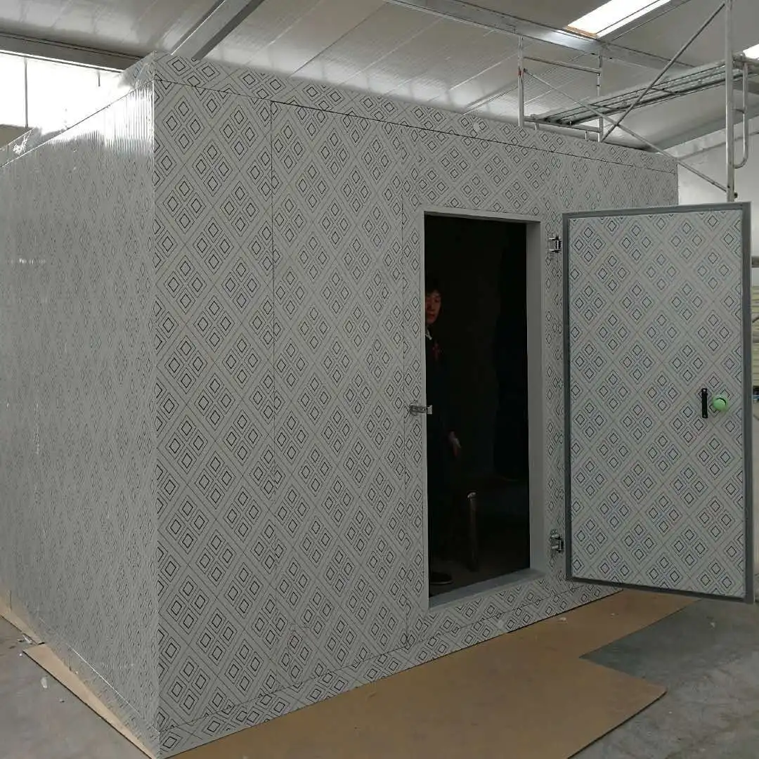 Easy-to-install freezer room/cold storage/cold room for medical