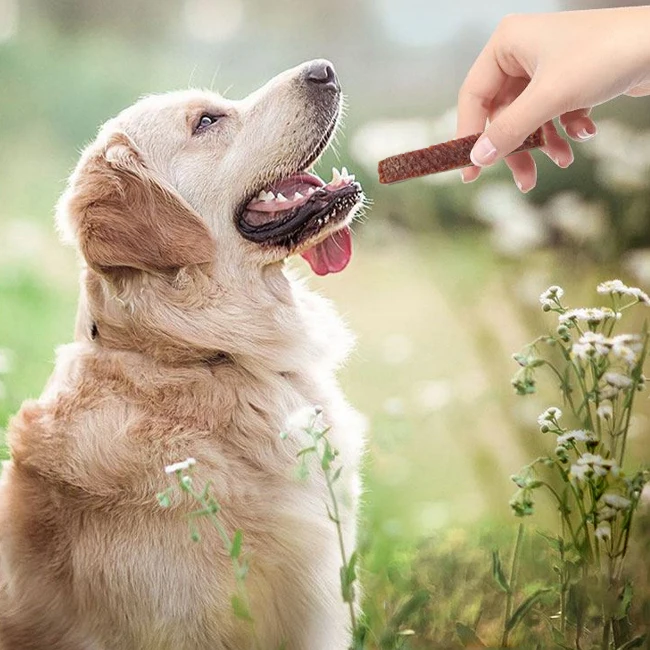 OEM ODM бестселлер лакомства для домашних животных оптовая продажа молярная палочка вяленая говядина рыба вяленые закуски собак и кошек Лидер продаж