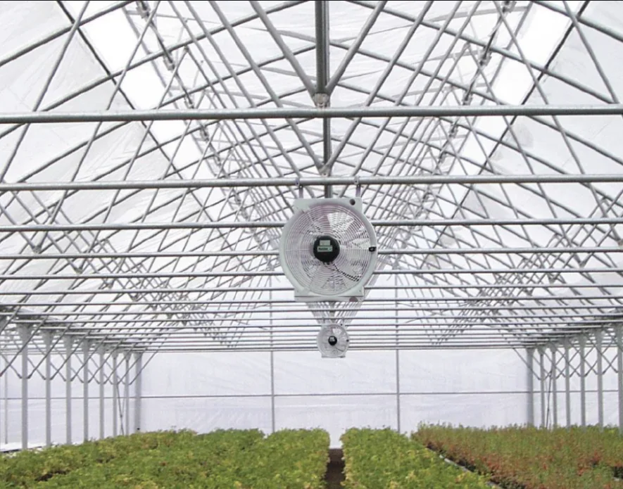 Industrial Factory Greenhouse Ventilation Exhaust Fan