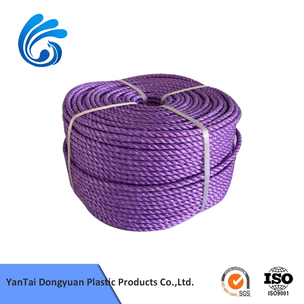10mm High Strength Ships Sailing Boats 3/4 Strands pp Packaging Polyester Rope with Low Price