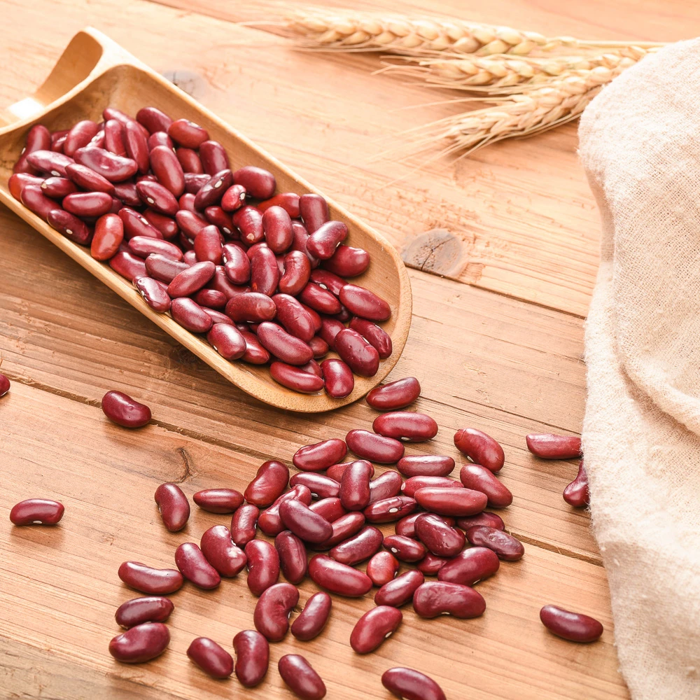 
Wholesale Price Dried Dark Red Kidney Beans With Best Quality For Whole China 2021 Red Kidney Bean 