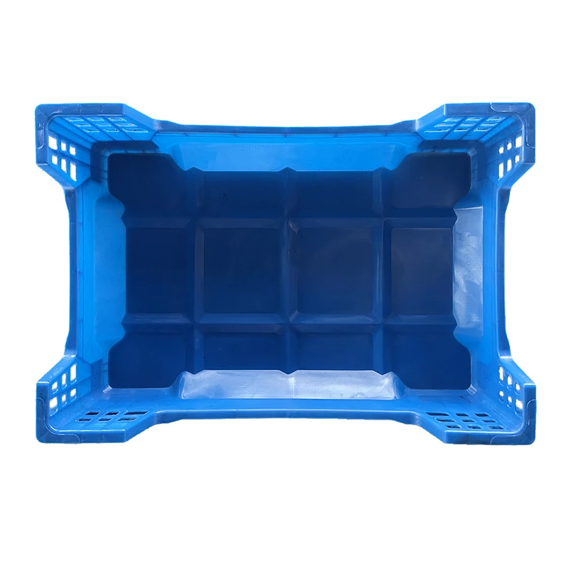 mealworm Plastic Insect Breeding Box 145mm 190mm Insect  breeding tray For Gecko Lizard Scorpion Unicorn reptile case