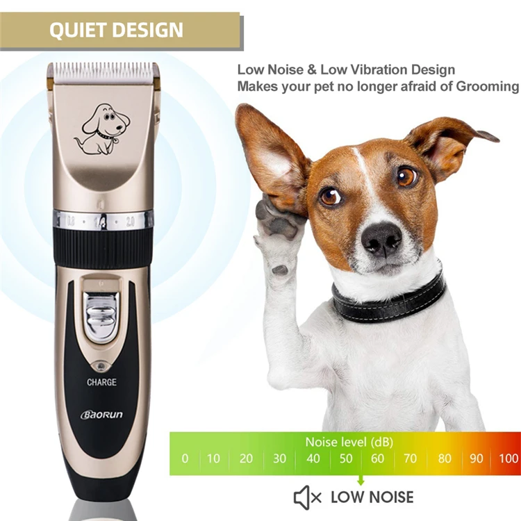 shaver for dog
