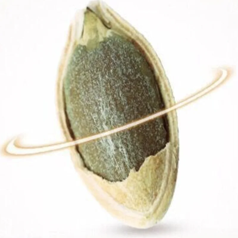 High Quality Hybrid Pumpkin Seeds Chinese Vegetable Seeds For Growing-ham Pumpkin