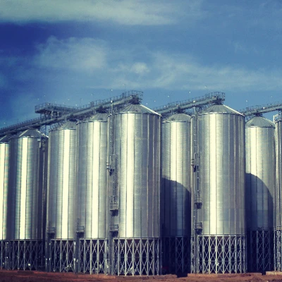 500 Ton Steel Farm Silos for Sale China Silo Manufacturers Cheap Price