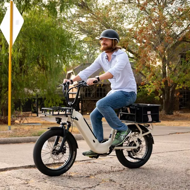 2024 Hot Selling Commuting Electric Bicycles Long Endurance 6 Speed 48v 15ah Lithium Battery  Motor City Cargo electric bike