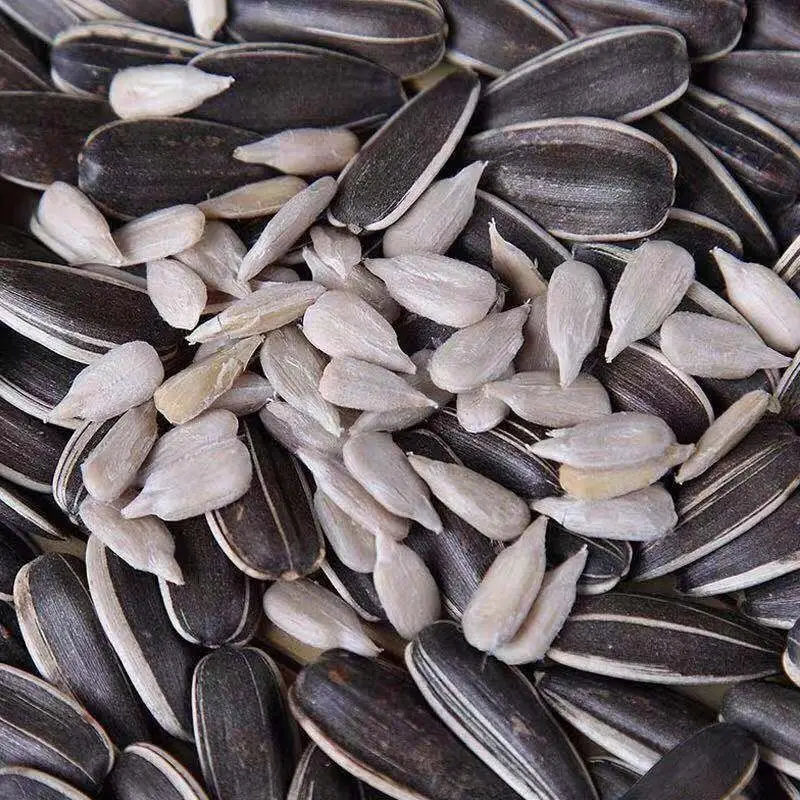 Organic Sunflower Seeds Black Wholesale Best Quality Chinese Sunflower Kernel with Market Price
