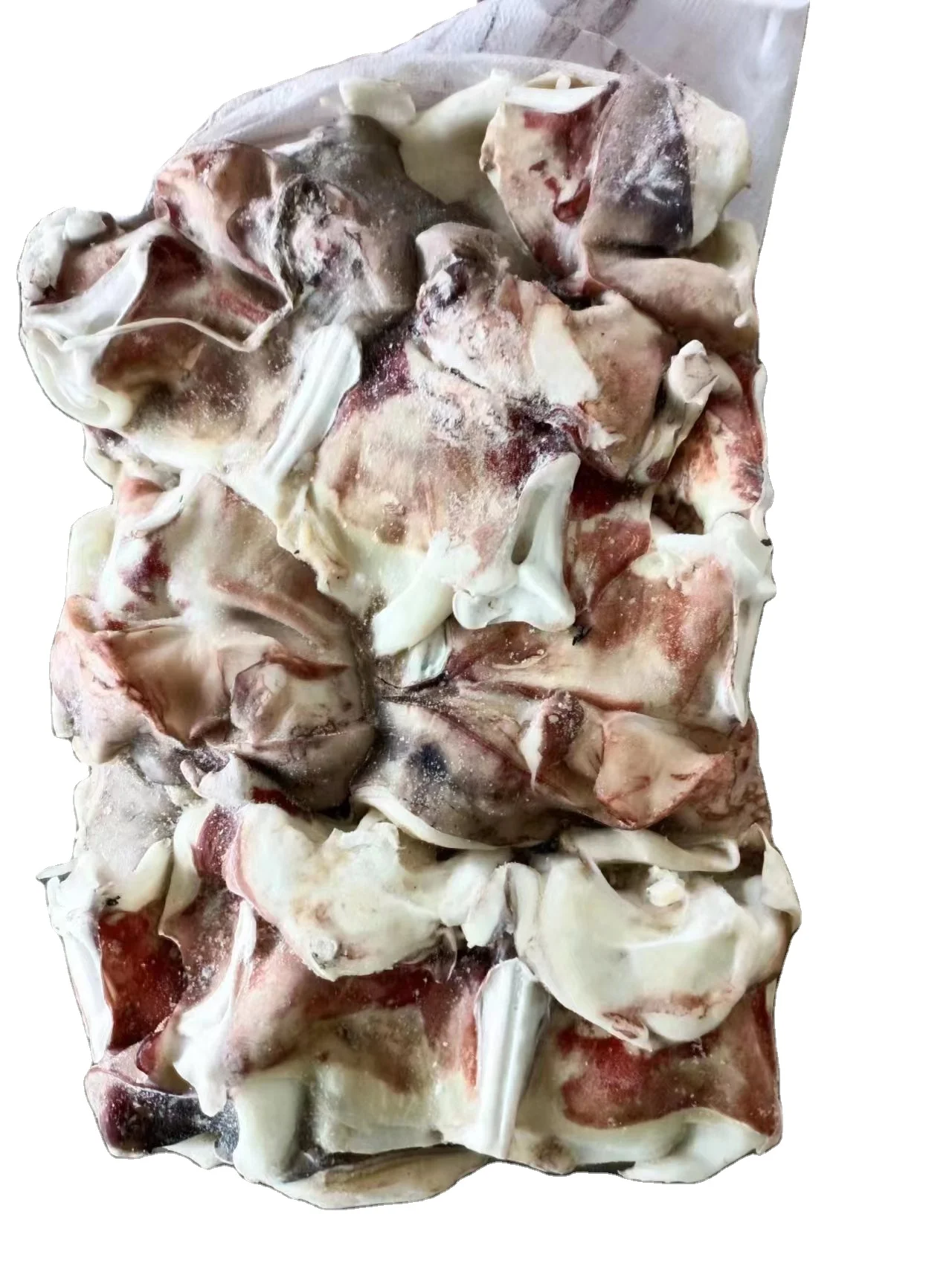 Delicious Chinese Food Dosidicus Gigas Wholesale Giant Squid neck whole cleaned gigas squid calamari neck China seafood supplier