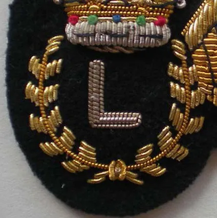 Customized 3D Design Pin-Back Embroidery Banner Handmade Tactical Badge Wing Uniform Patches Blazer Cloth Insignia for Hats