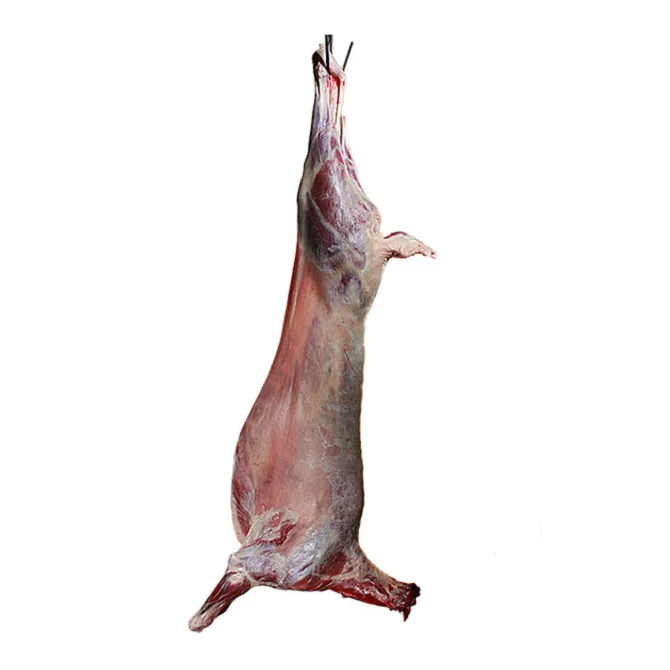 Kazakhstan hot high qualiy halal whole Carcass meat frozen lamb