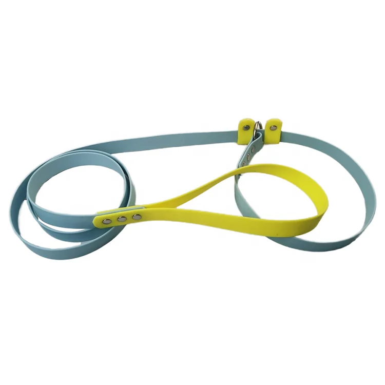 Multi-Use Soft PVC Coated Webbing Dog Slip Leash Double Color Fancy Design Collar and Lead in One Solid Pattern Personalized