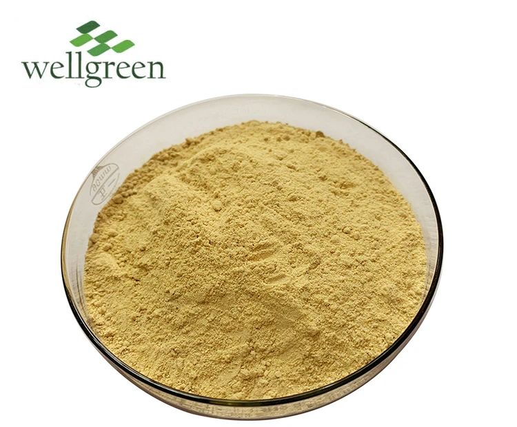 
High Quality Soy Lecithin Powder Injection Grade Phosphatidylcholine 70%, 80%, 90%, 95%, 98% 