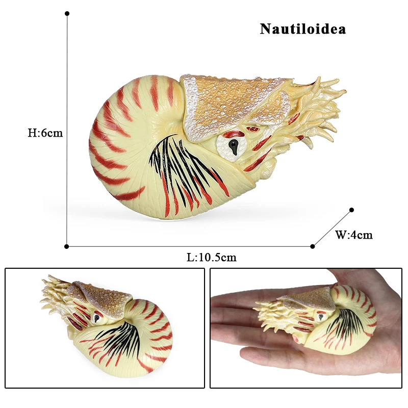 Oenux Wholesale Simulation Ocean Animal Action Figures Sea Life Crab Nautilus Shrimp Squid Model Figurines Education Gift Toy
