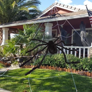 JOYEN Wholesale Spider with Triangular Huge Spider Web for Indoor Outdoor Halloween Decorations Yard Home