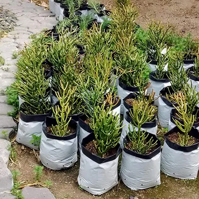 farm nursery planter grow bag tree seeding pot plant seed bag garden grow bag for seeding