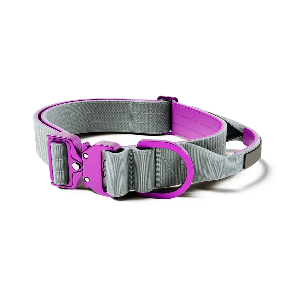 Premium Thick Dog Collar Adjustable Heavy Duty Quick-Release Metal Buckle Dog Collar With Handle for Small Medium Large Dog