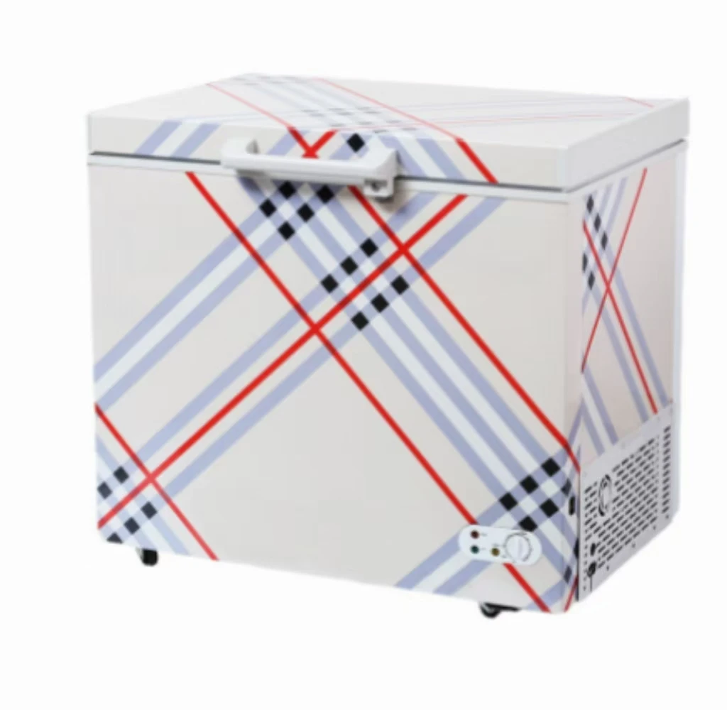 Refrigerator LP-160 DC 12V/24V Household Apartment Hotel Photovoltaic Cooling Refrigeration Electronic Control Solar Freezer