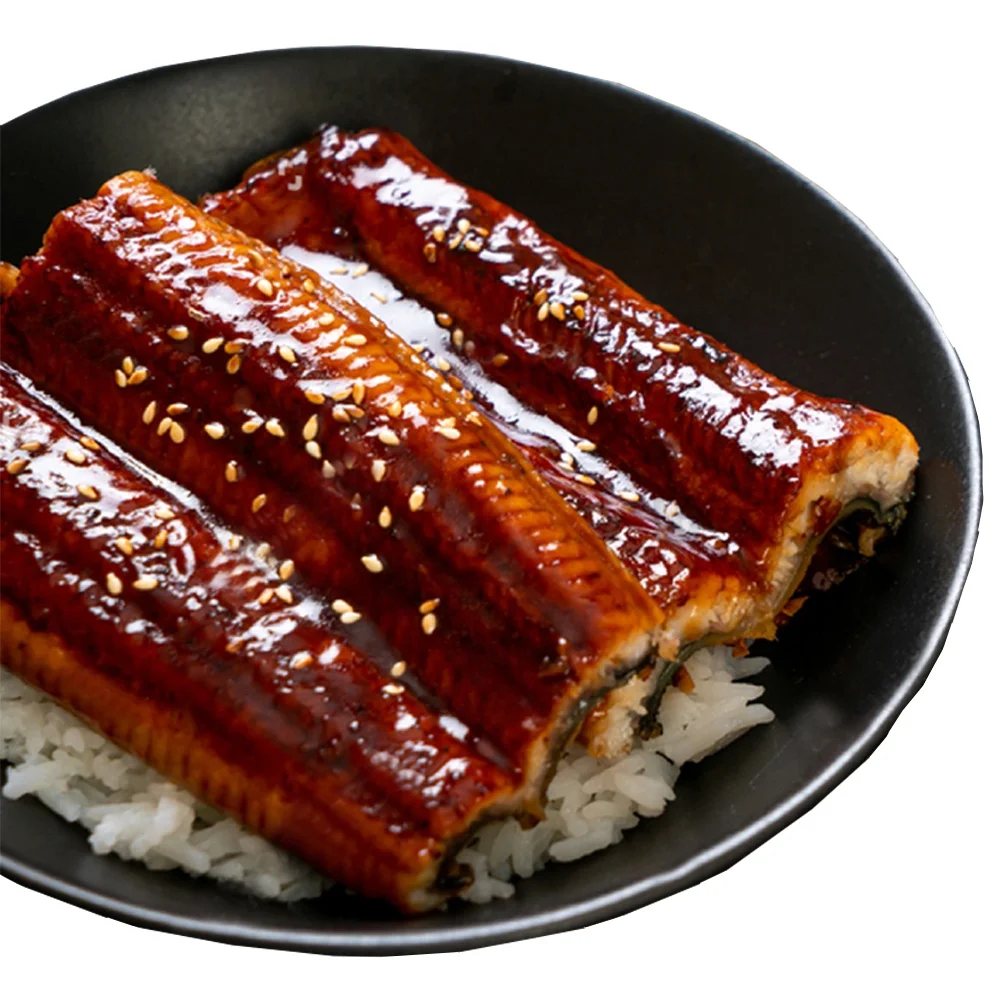 OEM Customize Wholesale High Quality Sushi Frozen Conger Unagi Kabayaki Fillets Japanese BBQ Broiled River Roasted EEL