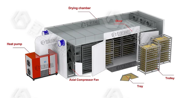 Electric Food Coconut Copra Dryer Drying Oven Machine Fruit Vegetable PLC Heat Pump Dehydrator with Tray