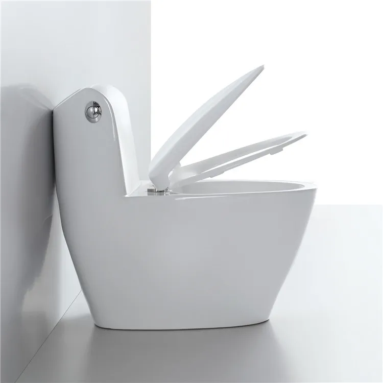Porcelain Sanitary Ware Inodoro Floor Mounted Commode Bathroom Wc Siphonic Flush One Piece Toilet