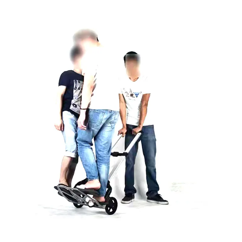 
Factory sale various 2 wheels heavy duty garden hand carry trolley 