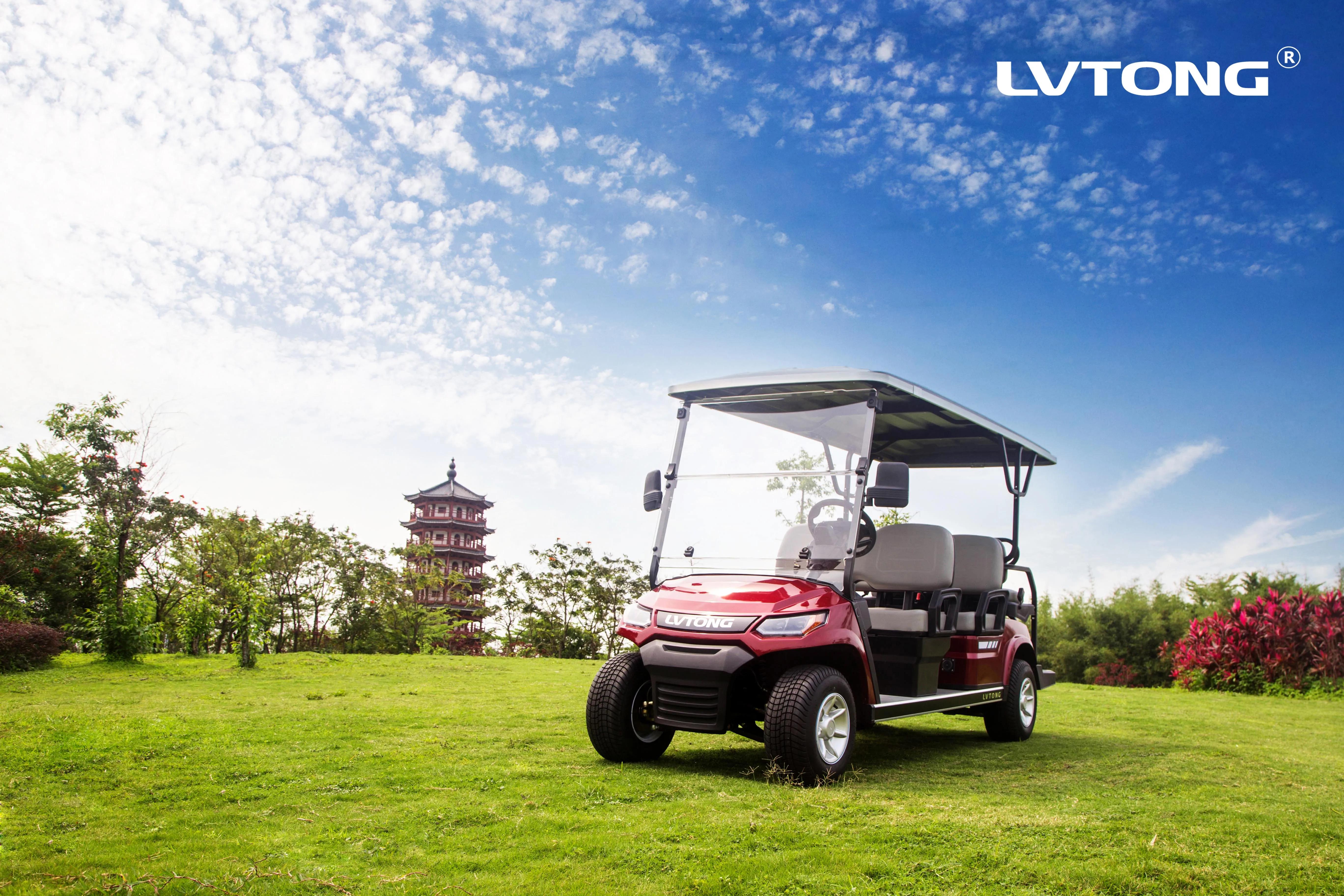 Stand Up Street Legal Zone Electric Utility Cart Golf Cart Car Golfcart Electric From China