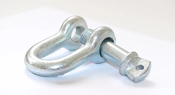 High Quality Marine Hardware D Shackle HDG Anchor Shackles