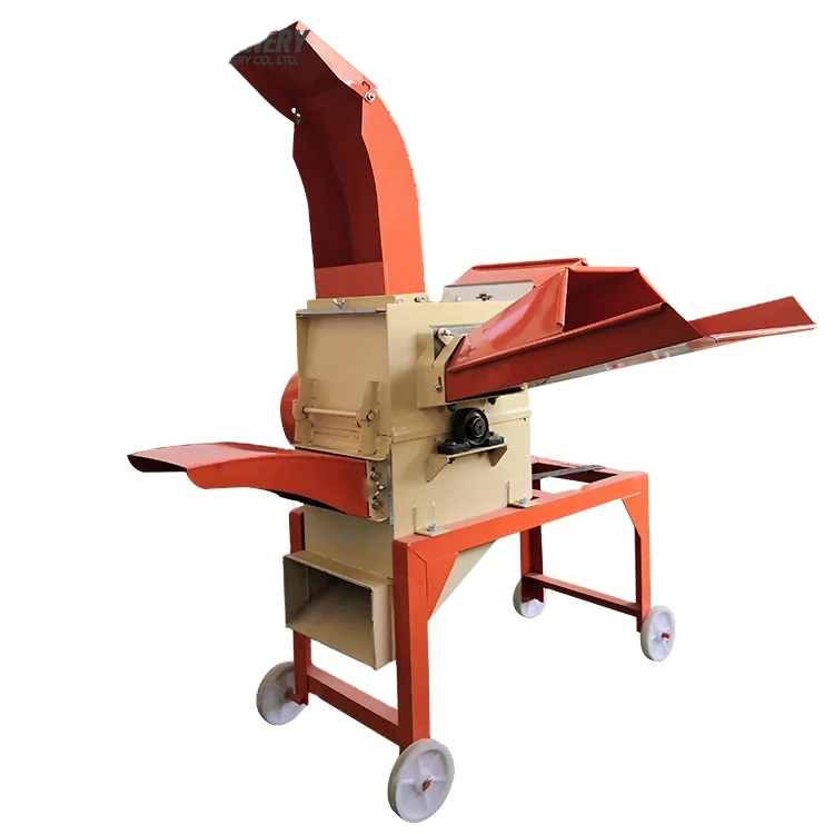 holstein heifers cattle for sale