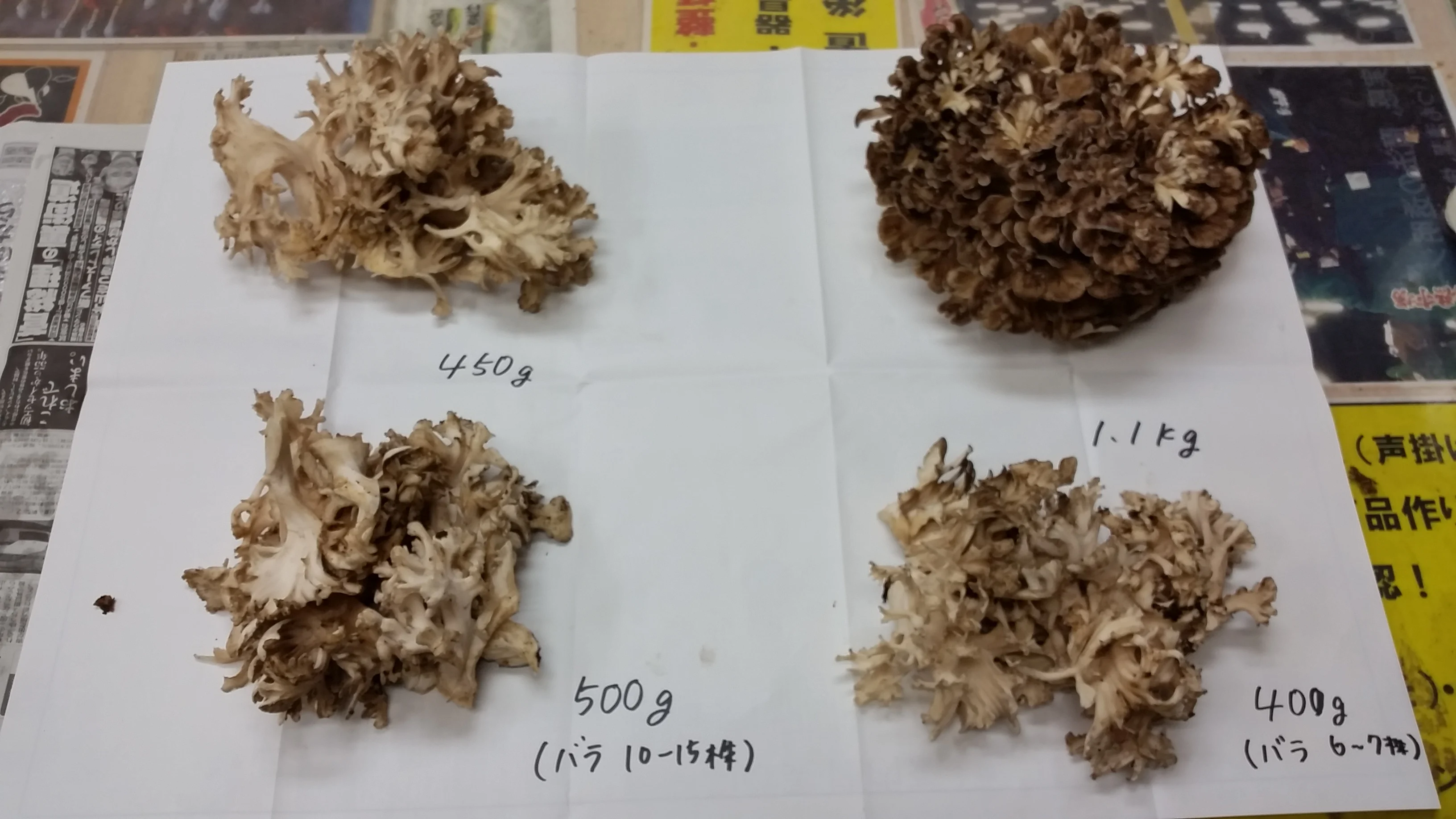 Japanese natural highest freshness wild fresh sell mushroom matsutake