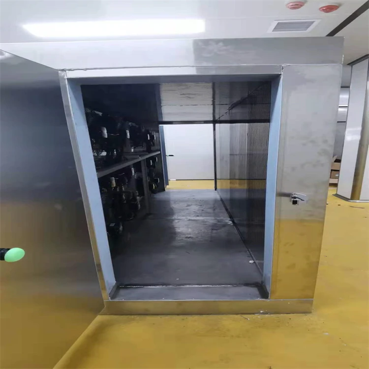 Professional Industrial  Liquid Nitrogen Commercial Quick Frozen Freezer fish freezing equipment Freezing Equipment