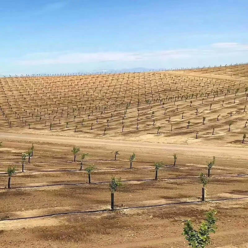 Pandora Drip Micro Tape 16mm Drip Irrigation System Hose Drip Pipe Tape