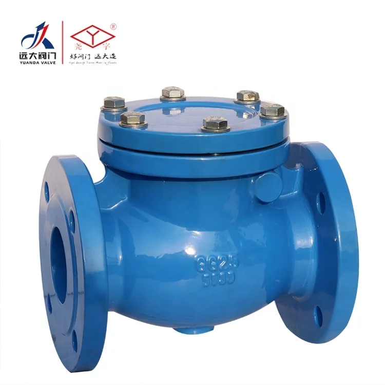 
DIN standard cast iron check valve with good quality China 