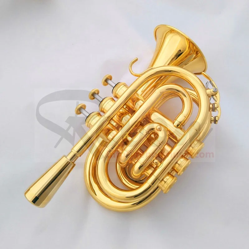 Weifang Rebon Bb Key Gold-plated Yellow Brass mini Trumpet
