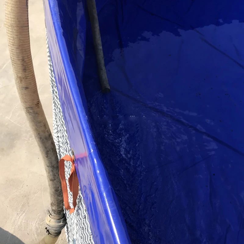 Customized Size Frame aquaponic system lobster pond fish farming equipment with cheap price