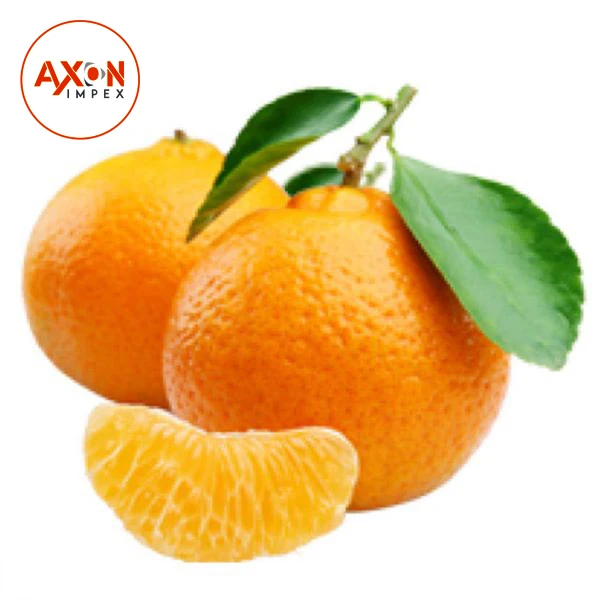 
New Year 2020 Special Offer - Mandarin Kinnow Citrus 
