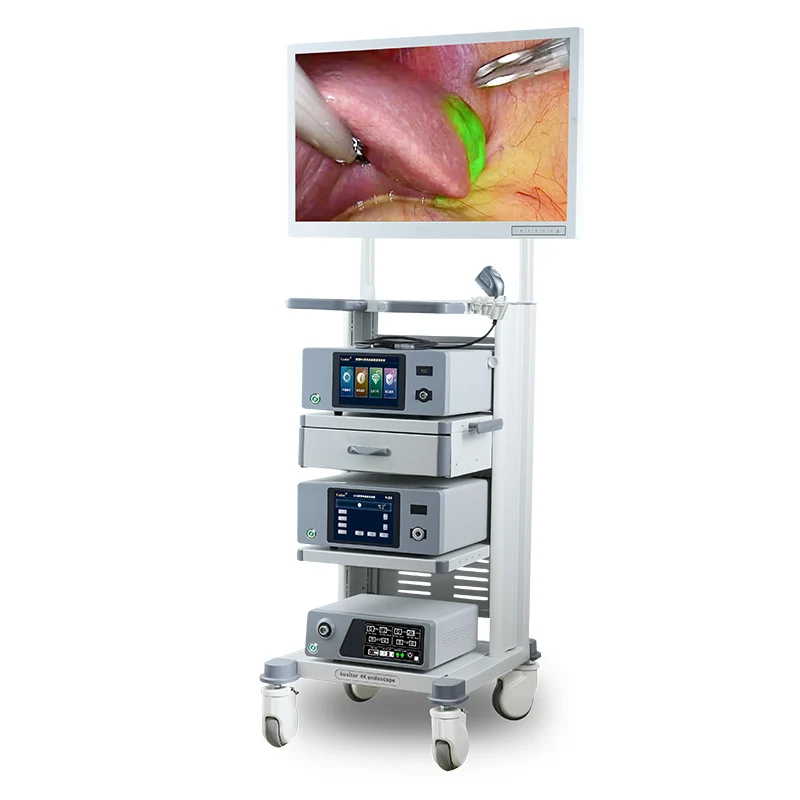 Manufacturer 4K Fluorescent Endoscopy Camera Rigid Metal Endoscope for Hepatobiliary Surgery Plastic Material Powered Machinery