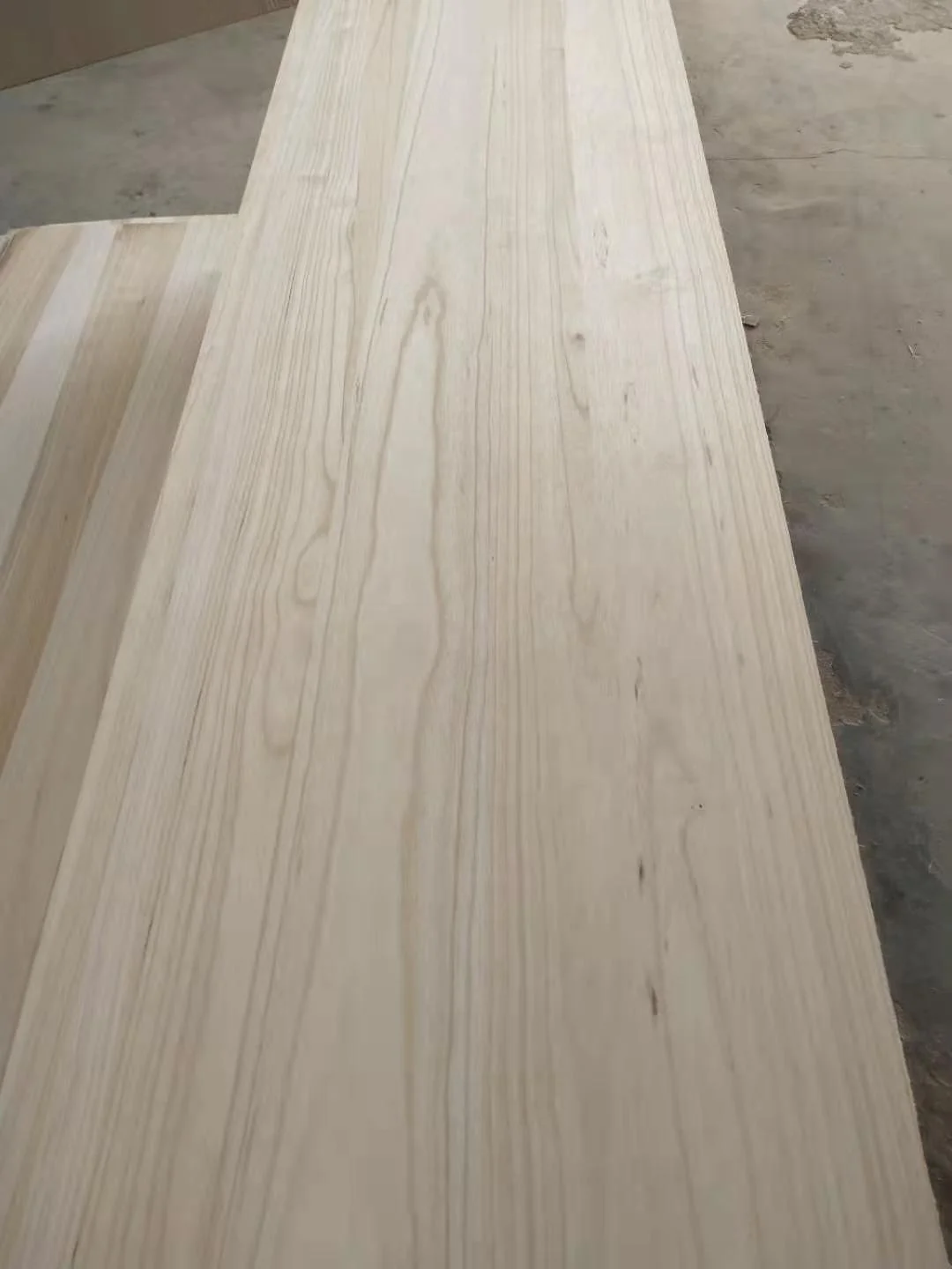 China pao tong hybrid 9501 root growth Solid paulownia Wood Board for making furniture and landscaping