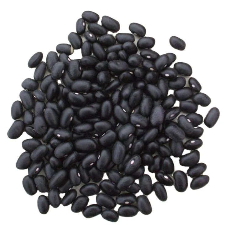 Quality Warranty China Market Price Small Dried High Quality Black Kidney Bean For Export