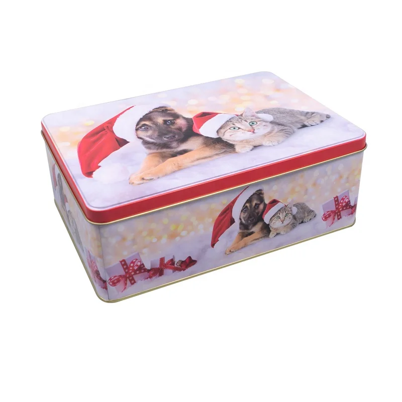 Cute Multi-Purpose Rectangular Tin Box with Lid, Metal Rectangle Cookie Tin Box for Sweets, Candy, and Food Storage