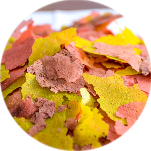 Фирменная торговая марка Guppy корм для рыбы объем 10 л