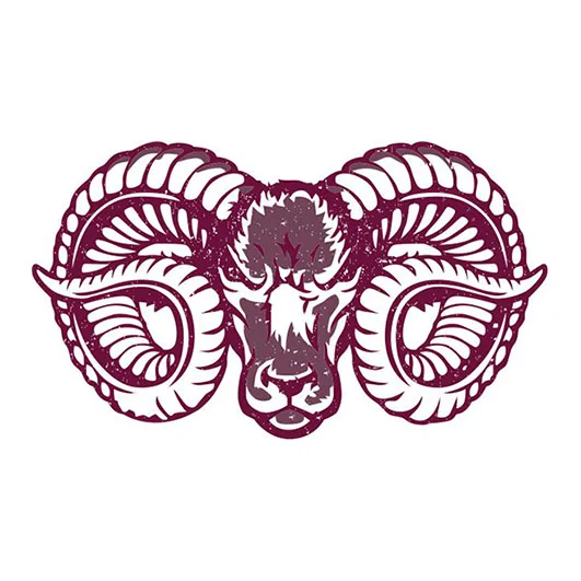 Ai Hand Painting Art Service High-quality Apparel Design Services Vectorizing Artworks Custom Heat Transfer Designs