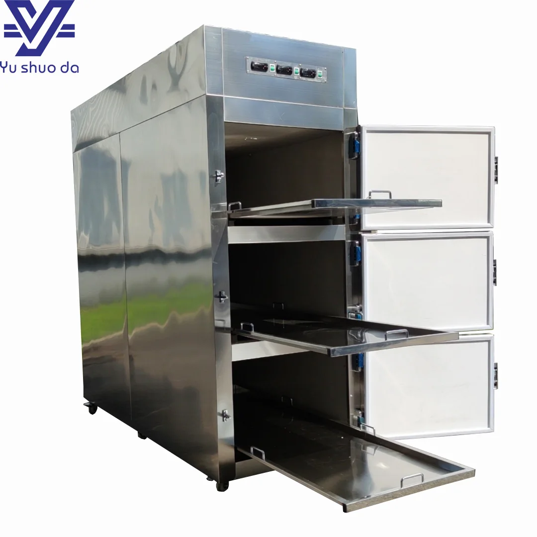 Customizable hospital refrigeration equipment 3 bodies morgue freezer with moving trays
